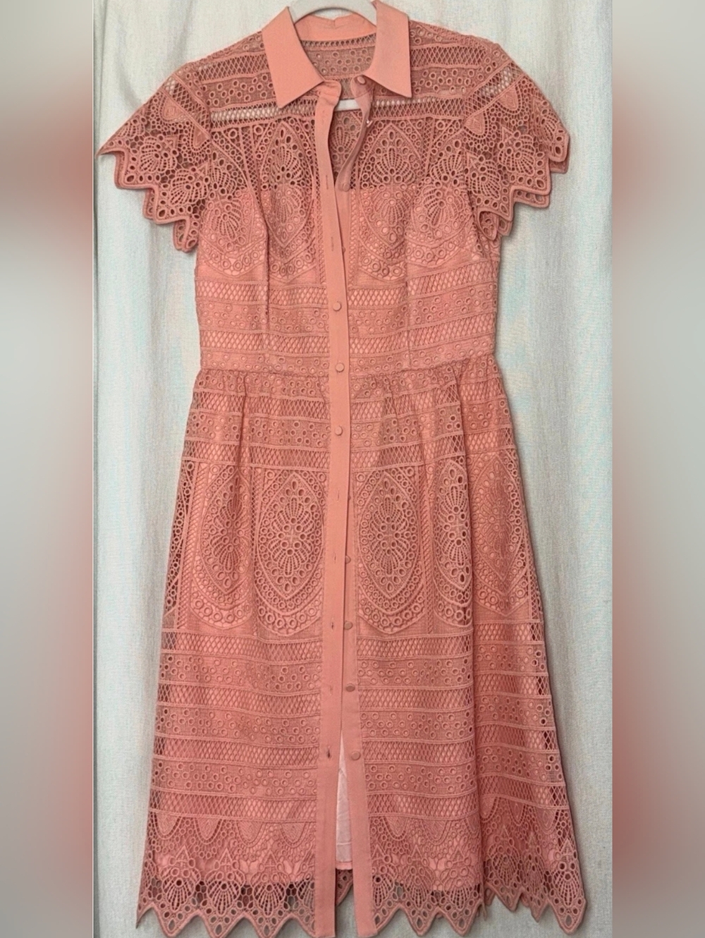 ANTONIO MELANI Dusty Rose Eyelet Lace Button-down Dress, Lined, Lace Sleeve. Sz4